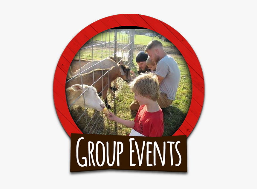 Birthday, Group Tours, & Corporate Events At Corn Fun - Working Animal, HD Png Download, Free Download