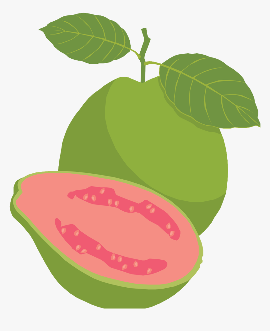 Guava Png - Guava Fruit Clipart Png, Transparent Png, Free Download