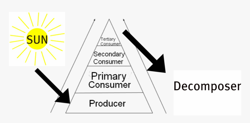 Picture - Triangle, HD Png Download, Free Download