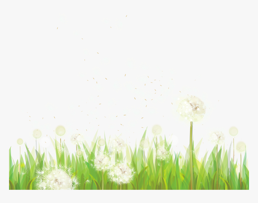 Dandelion Clipart Grass - Grass Transparent Png Footer, Png Download, Free Download