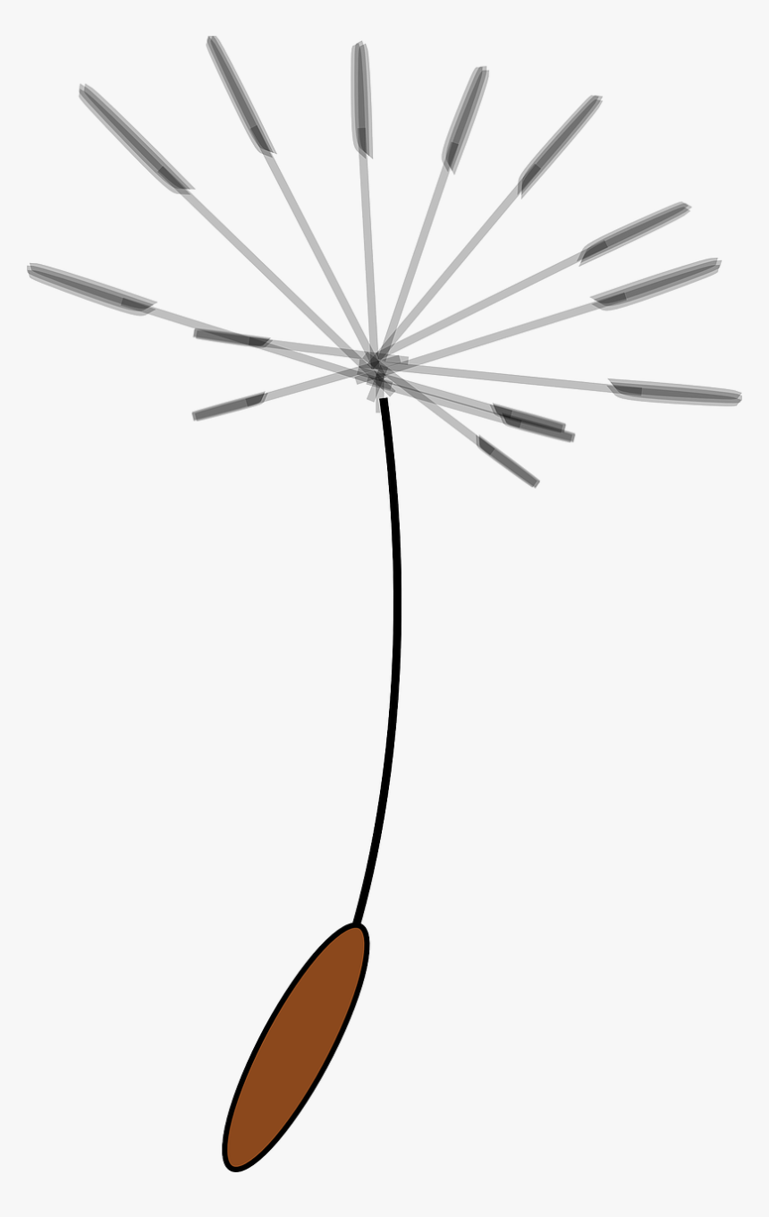 Clip Art Dandelion Seed, HD Png Download, Free Download