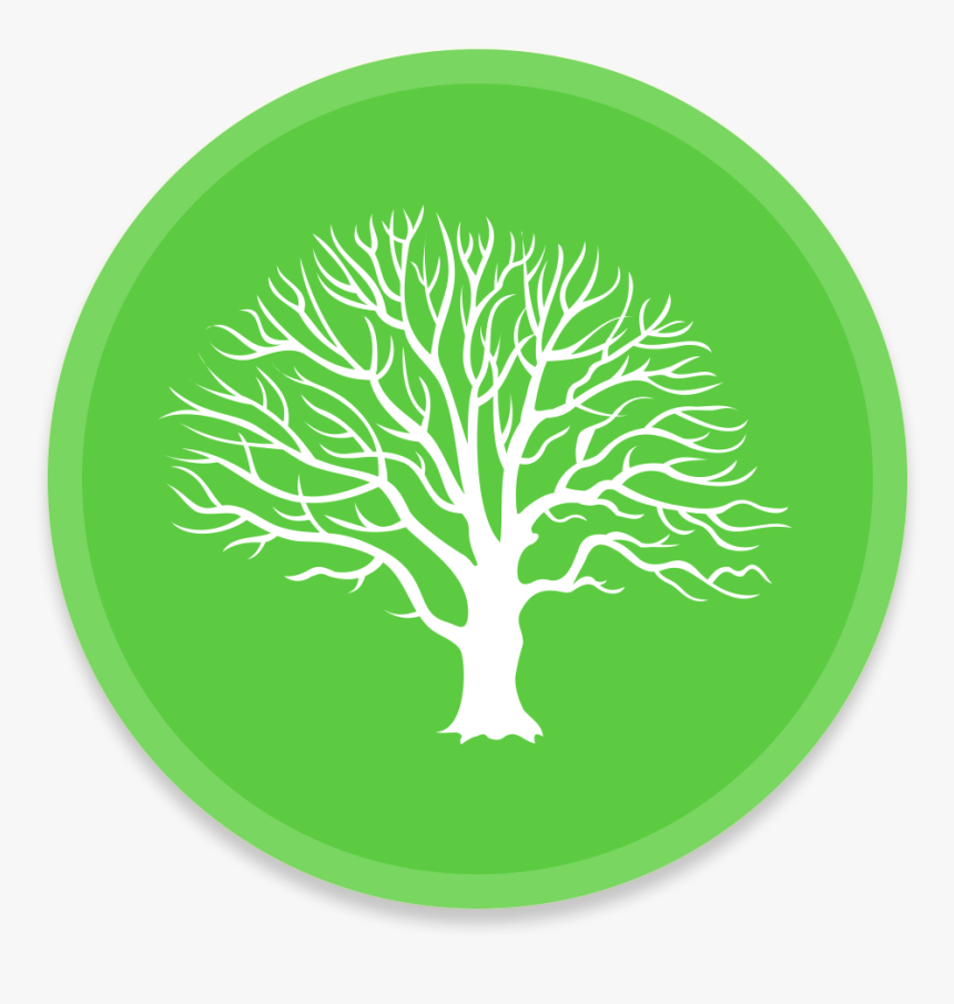 Transparent Arvore Png - Green Tree Icon Png, Png Download, Free Download