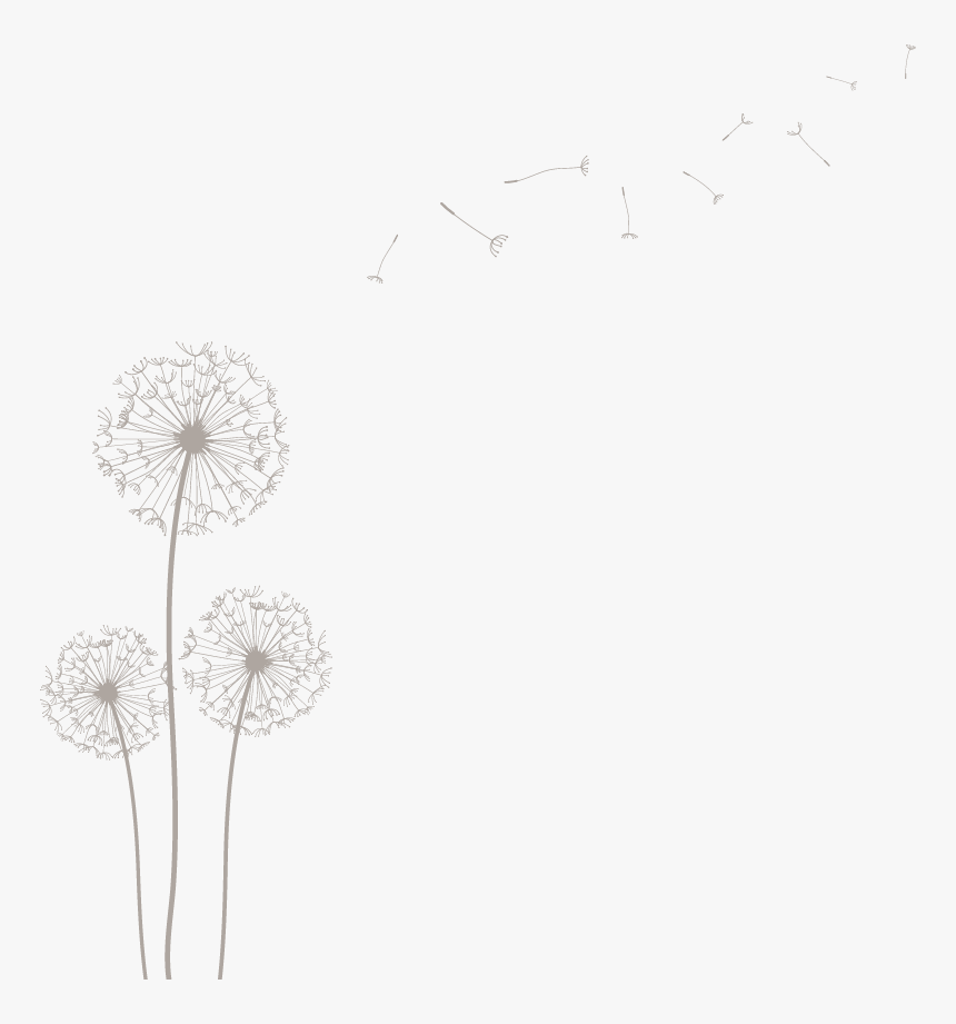 Dandelion, HD Png Download, Free Download