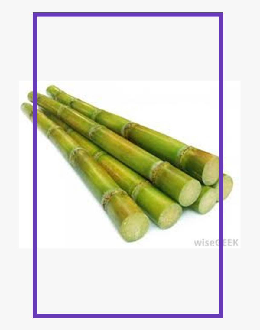 Transparent Sugar Cane Png, Png Download, Free Download