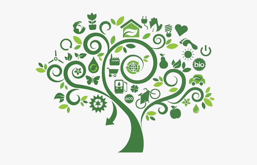 Our Forest Our Future - Imagenes De Logos Ecologicos, HD Png Download, Free Download