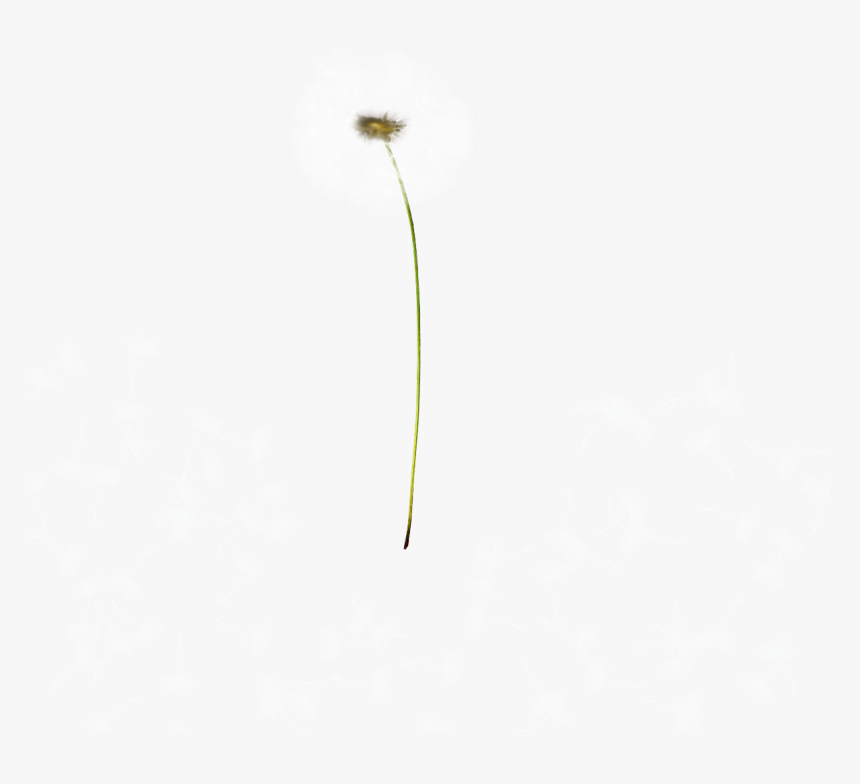 Earrings, HD Png Download, Free Download