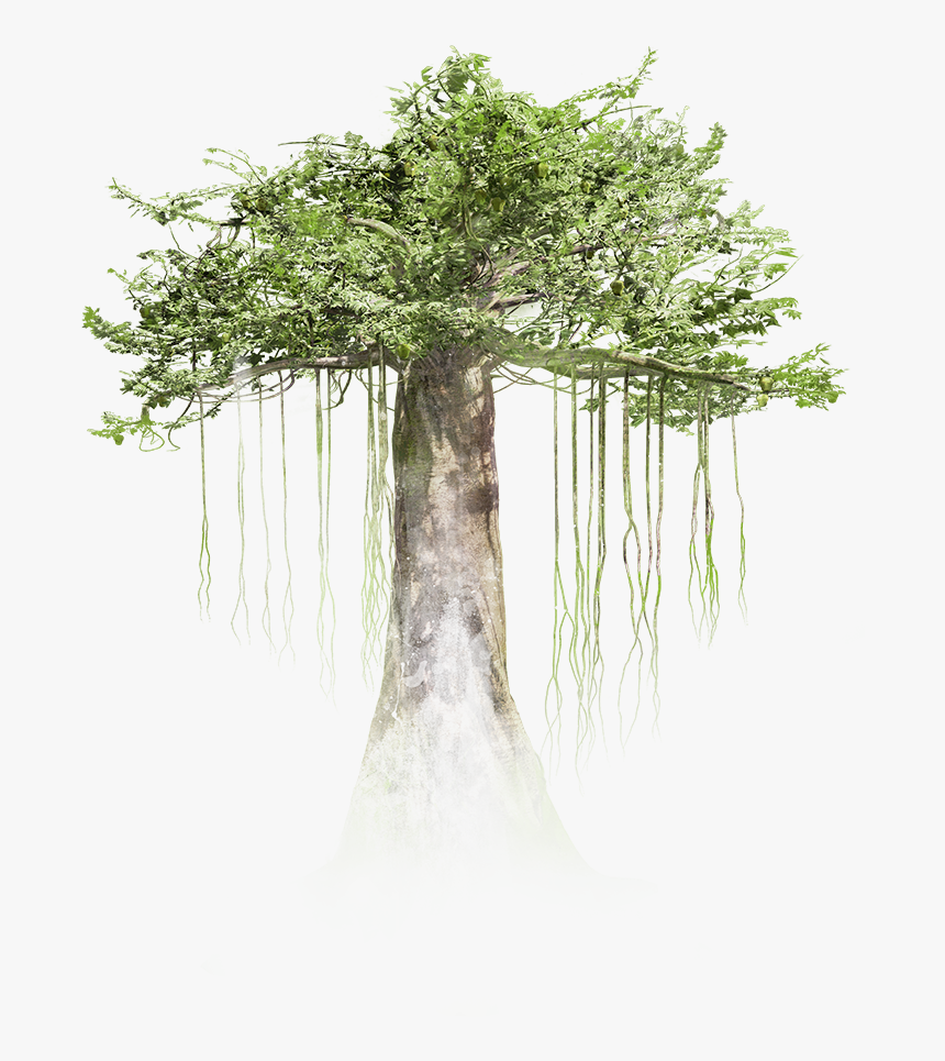 Tree Milica Zec, HD Png Download, Free Download