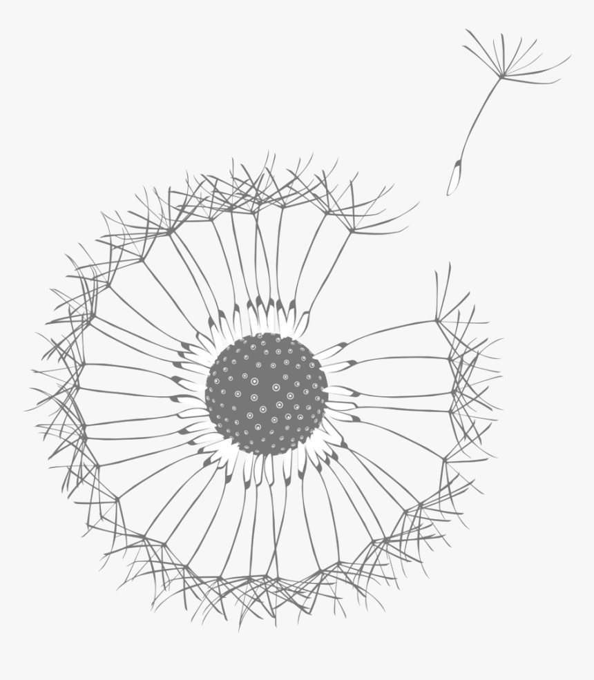 Dandelion - Розовый Велосипед, HD Png Download, Free Download