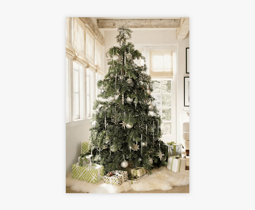 Christmas Tree, HD Png Download, Free Download