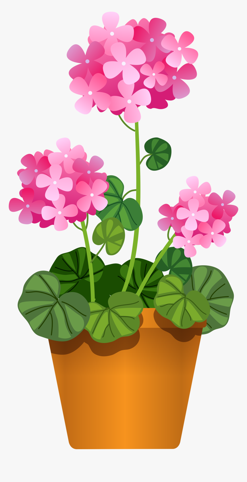 Margarita Clipart Cactus - Flower Pot Cartoon Png, Transparent Png, Free Download