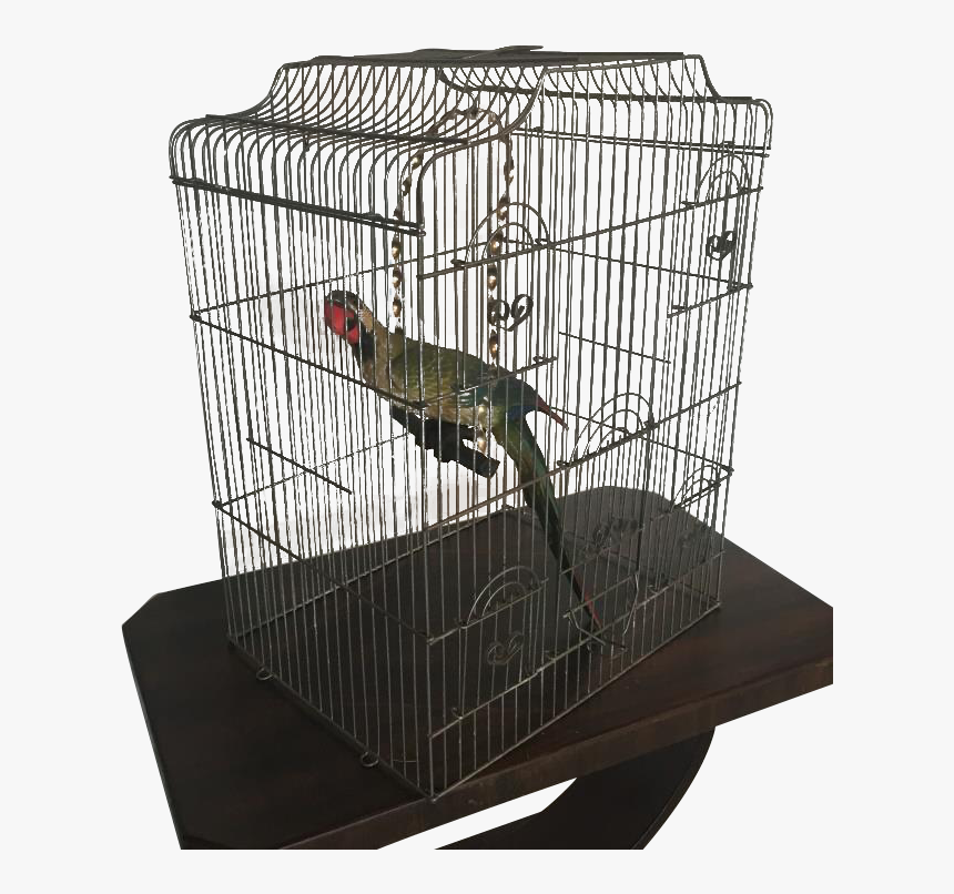 Large Wire Birdcage , Png Download - Cage, Transparent Png, Free Download