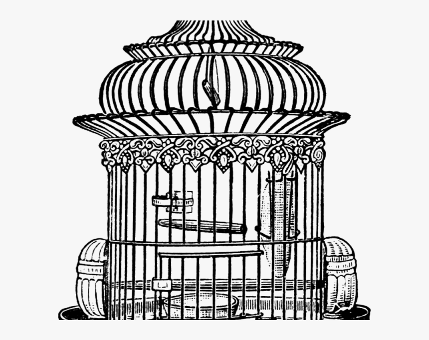 Birdcage Drawing Clipart , Png Download - Bird Cage Line Drawing, Transparent Png, Free Download
