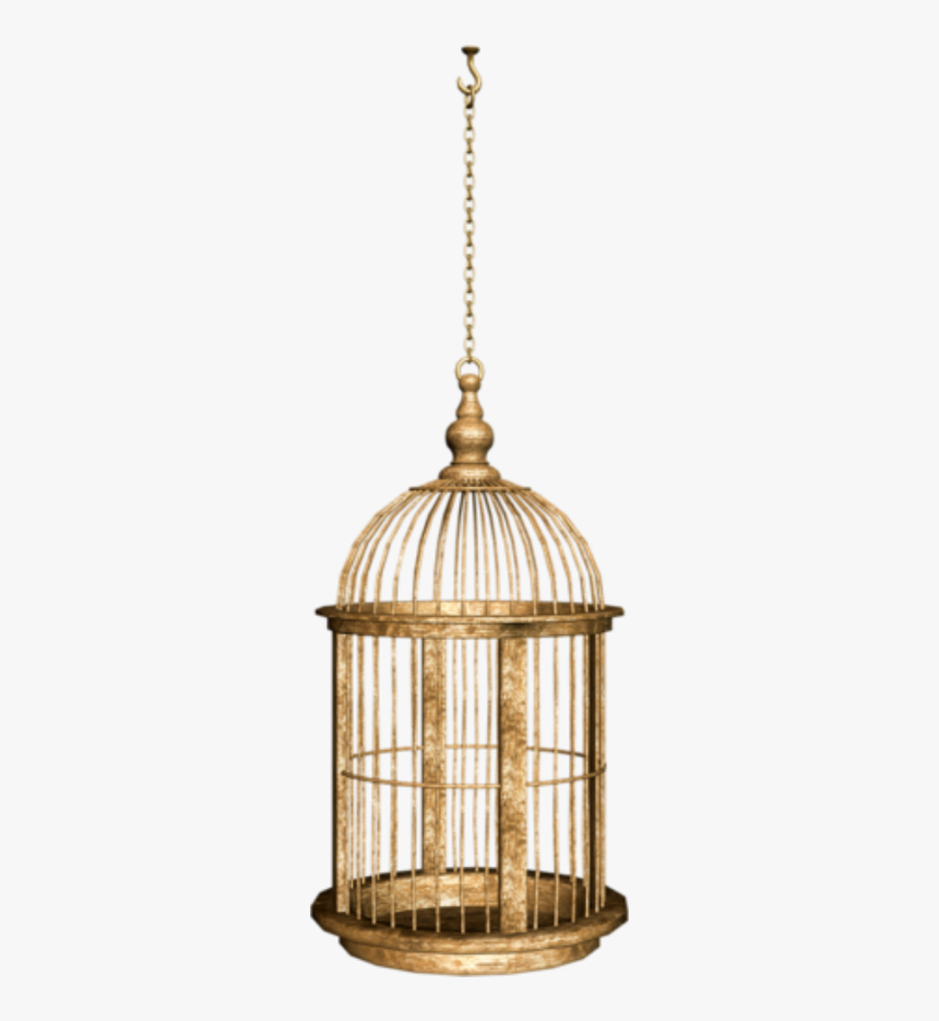 #birdcage #cage - سكرابز اقفاص, HD Png Download, Free Download