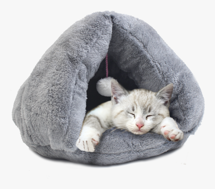 Transparent Gray Cat Png - Cat Sleeping Png, Png Download - kindpng