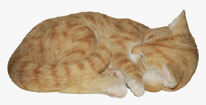 Cat Urn Orange Tabby, HD Png Download, Free Download