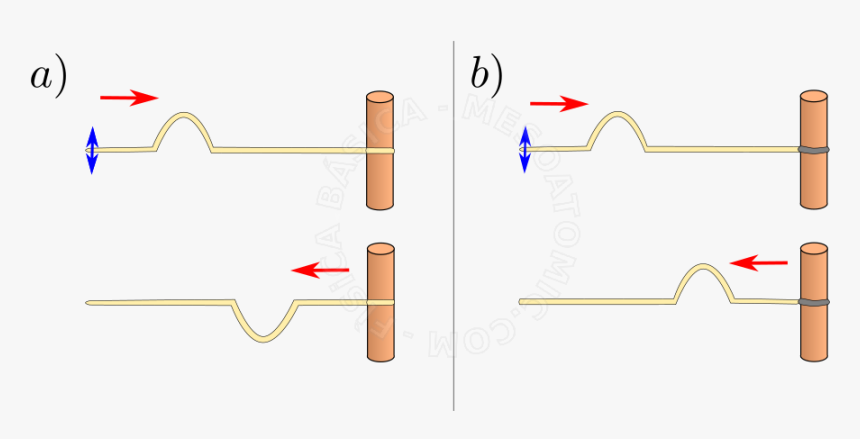 Diagram, HD Png Download, Free Download