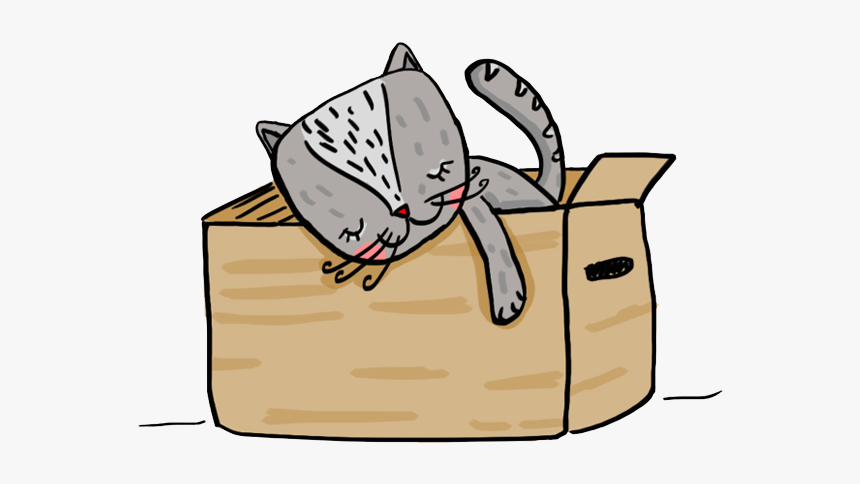 Sleeping Cat Box Home Sleep Animal Illüstration Cat, HD Png Download, Free Download