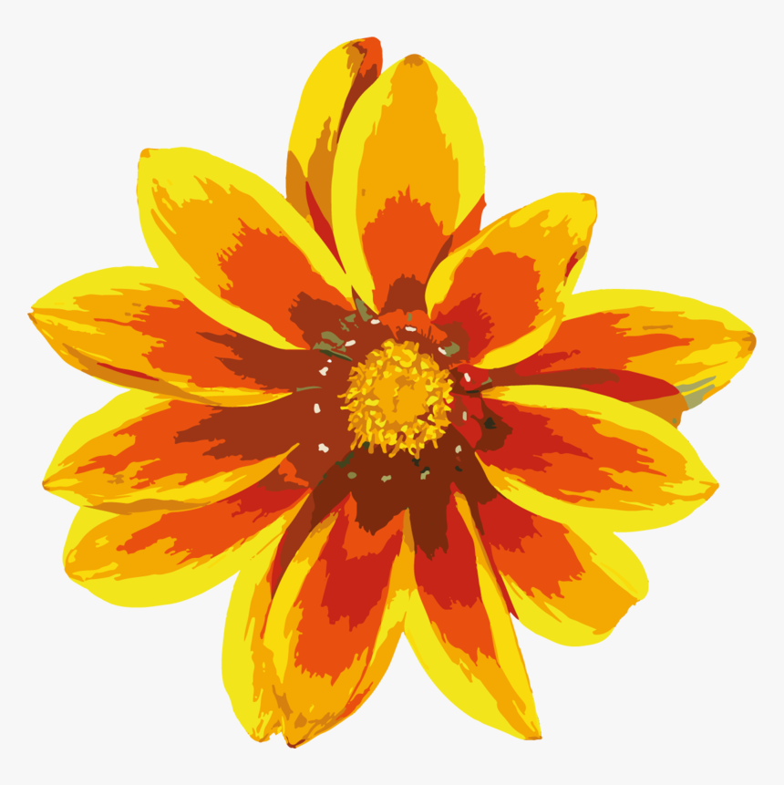 Gazania Clipart - Clip Art, HD Png Download, Free Download