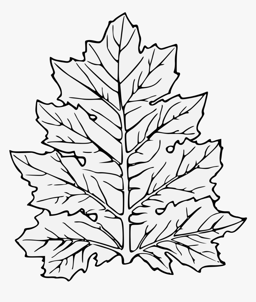 Leaf Clip Art, HD Png Download, Free Download