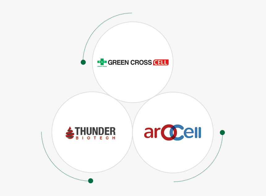 녹십자셀과 Arocell - Circle, HD Png Download, Free Download