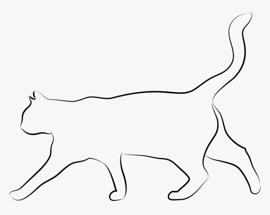 Cat, Animal, The Silhouette, Animals - White Transparent Cat Silhouette, HD Png Download, Free Download