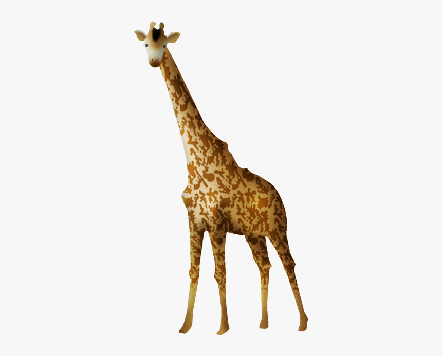 Animales De La Selva Gif, HD Png Download, Free Download