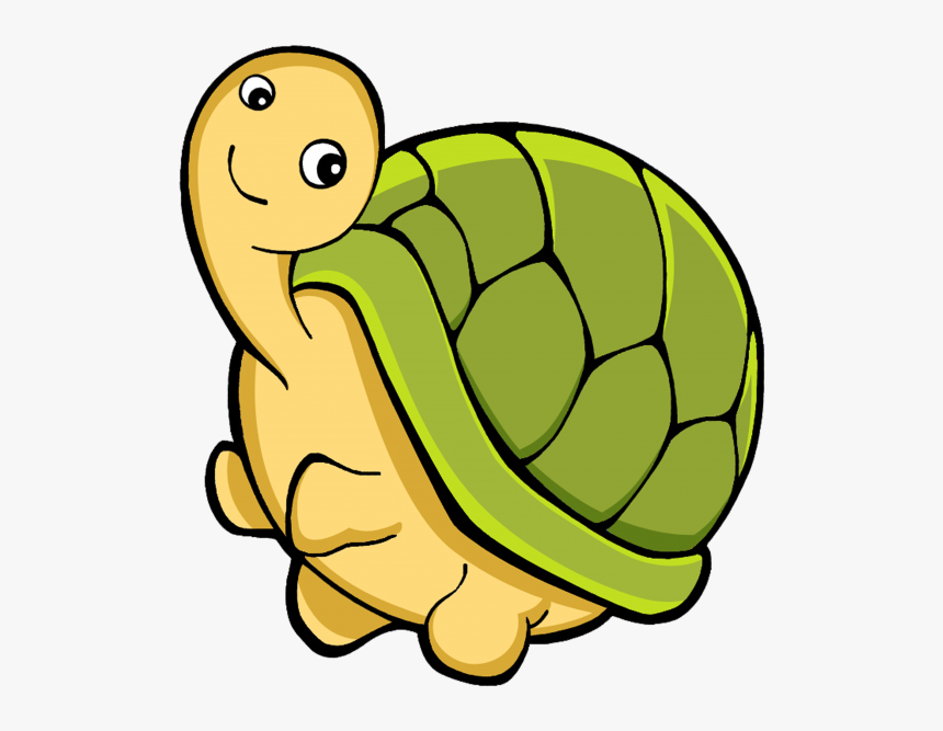 Transparent Turtle Cartoon Png - Imagenes Png De Animales Marinos, Png Download, Free Download