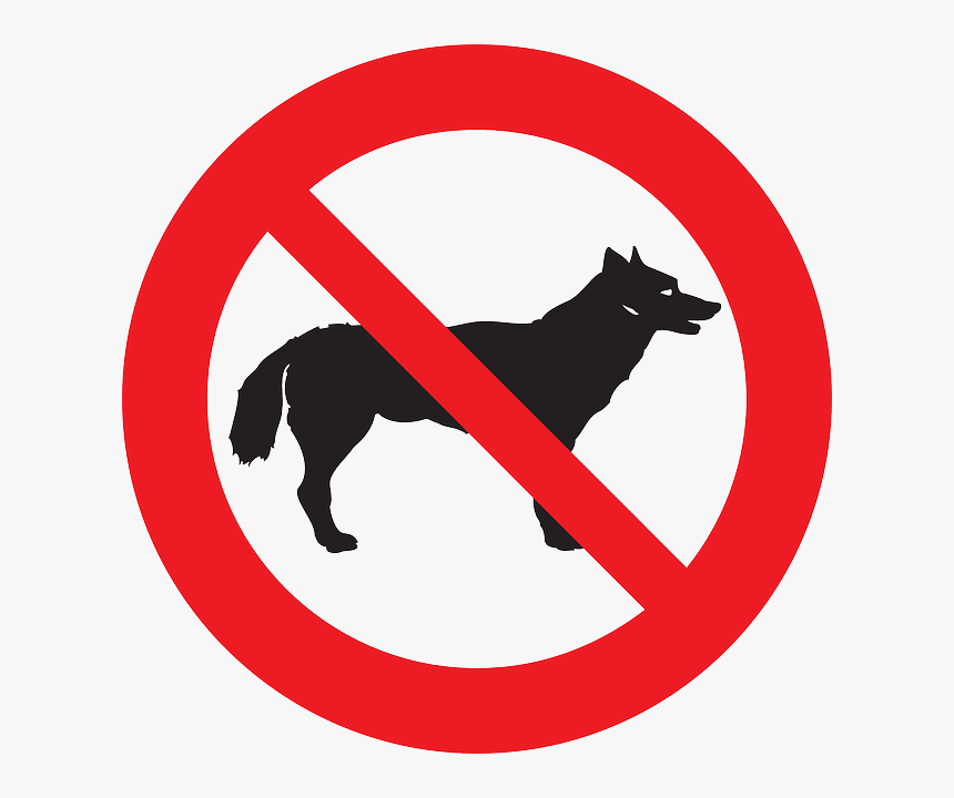 No Animals Clipart, HD Png Download, Free Download