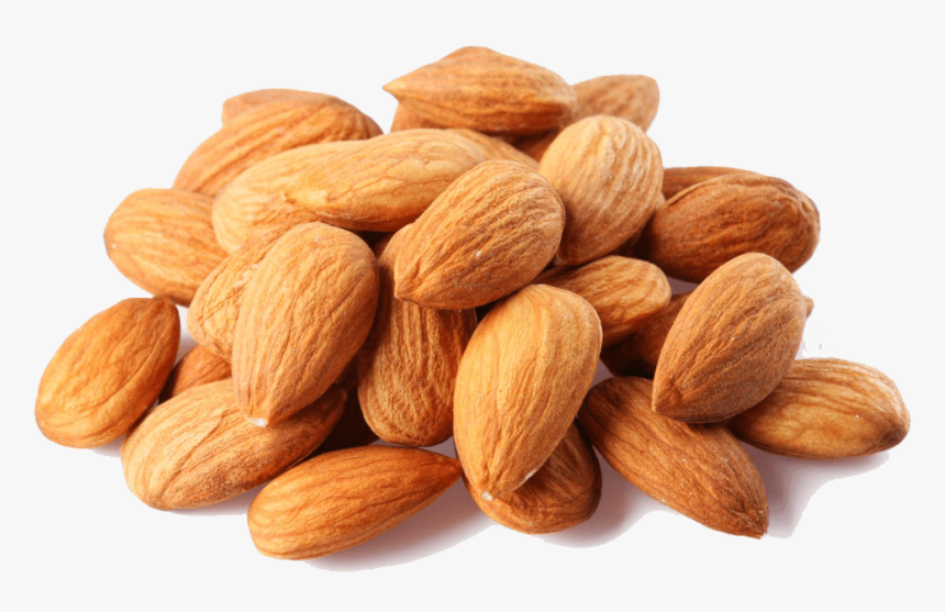 Apricot-kernel - Dry Fruits Png Hd, Transparent Png, Free Download