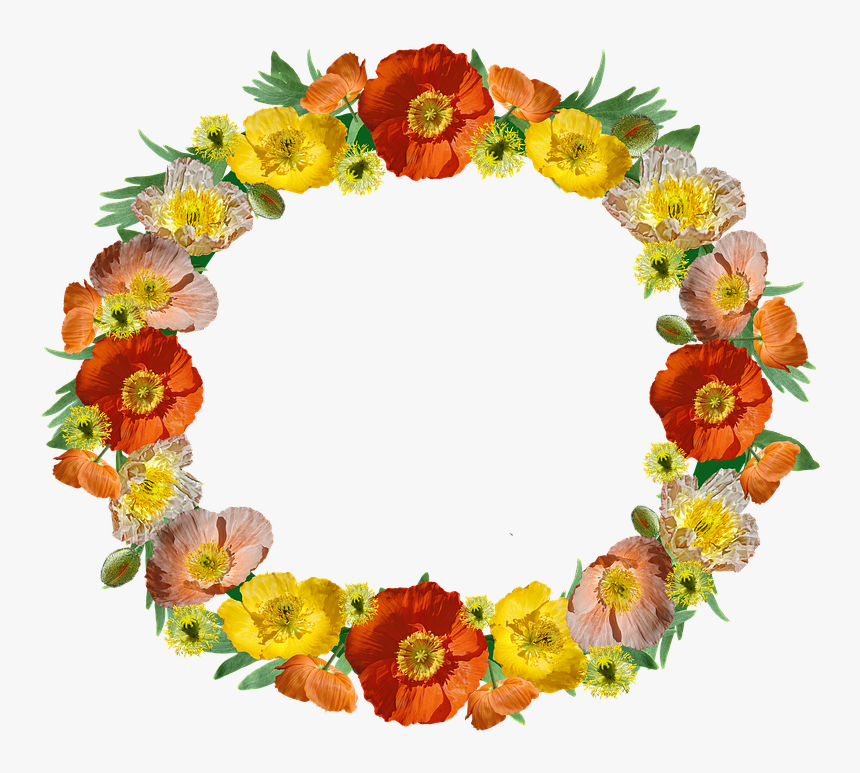 Poppies, Flowers, Wreath, Border, Floral, Frame - 対人 運 アップ 待ち受け, HD Png Download, Free Download