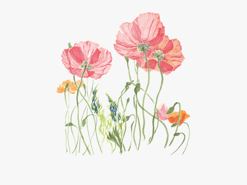 Finewriter Pitt Artist Pens - Flower Pen Art Transparent Background, HD Png Download, Free Download