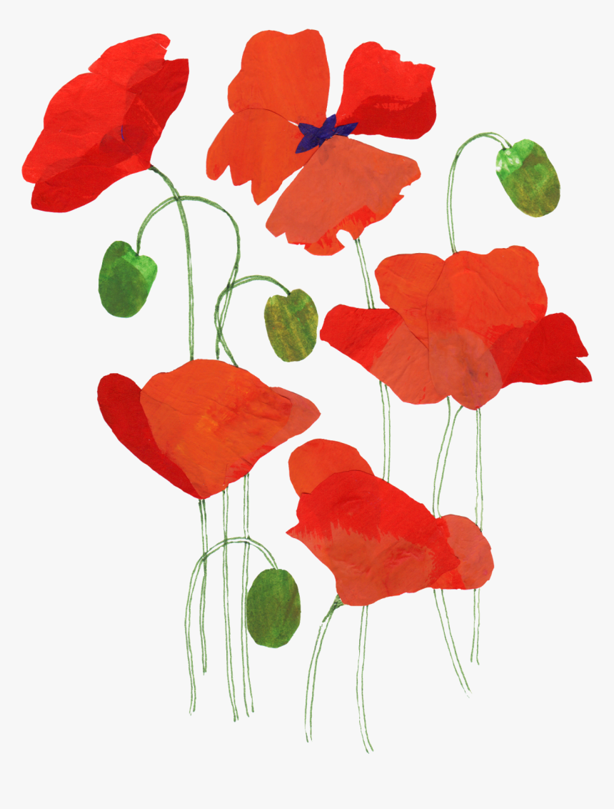 Poppy - Greeting Card, HD Png Download, Free Download