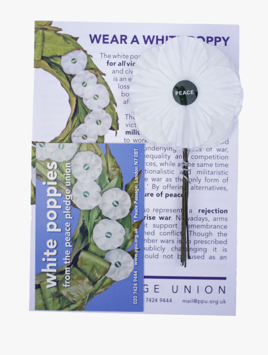 White Poppies 5 Pack - Delphinium, HD Png Download, Free Download