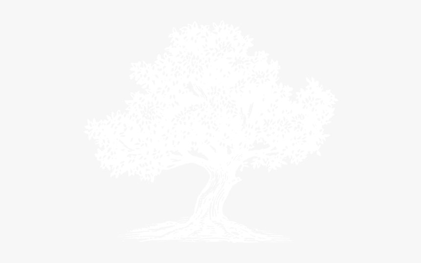 Black And White Olive Tree Png - Srm University Chennai Logo, Transparent Png, Free Download