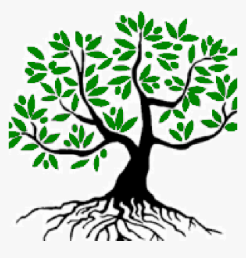Good Tree ~ شجرة طيبة - Olive Tree Initiative, HD Png Download, Free Download