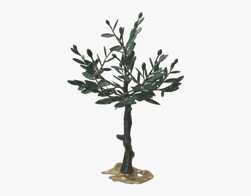 Bronze Olive Tree - Gambel Oak, HD Png Download, Free Download