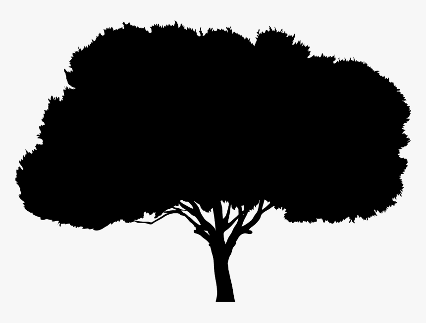 Tree Silhouette, HD Png Download, Free Download