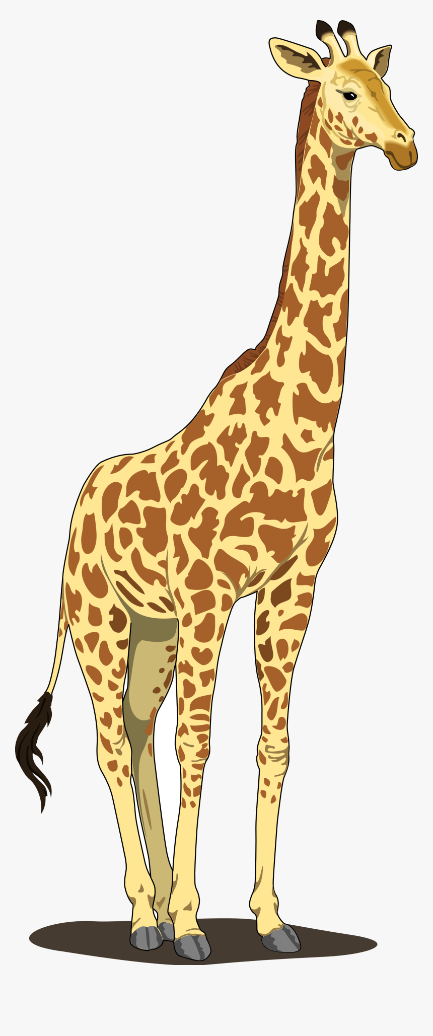 Giraffe Clipart, HD Png Download, Free Download