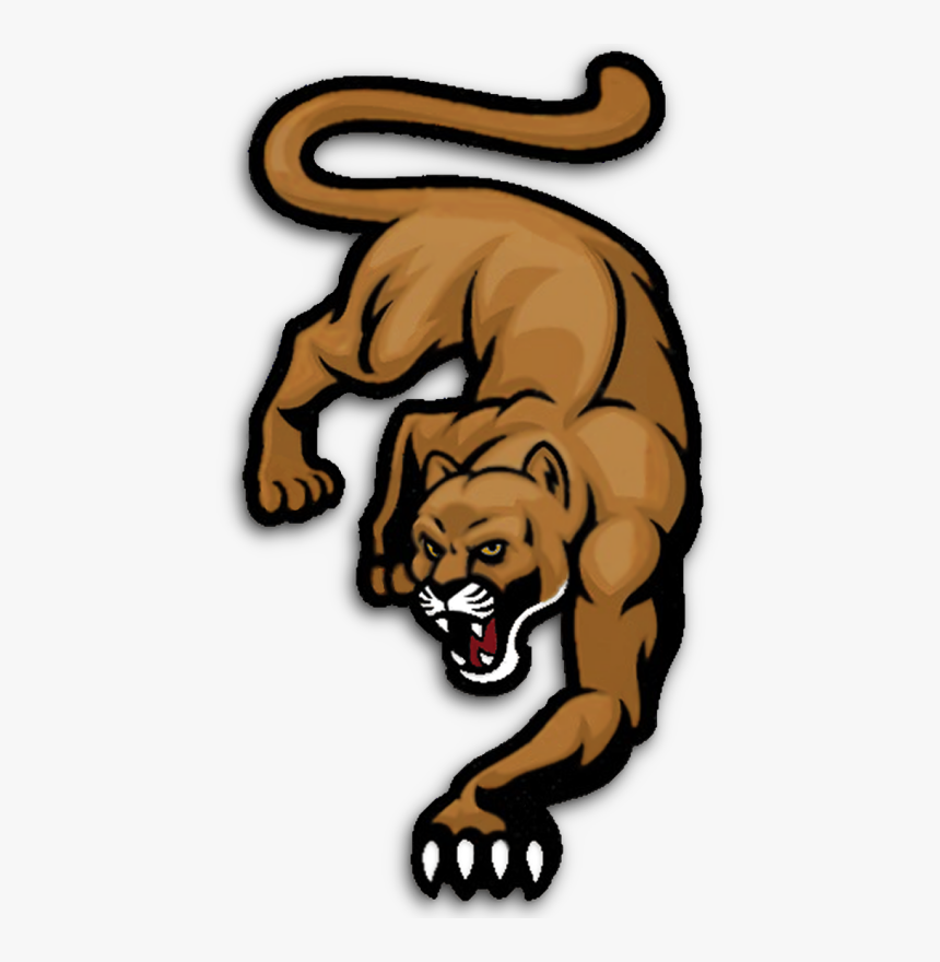 Minnesota Mountain Lions - Cougar Vector, HD Png Download, Free Download