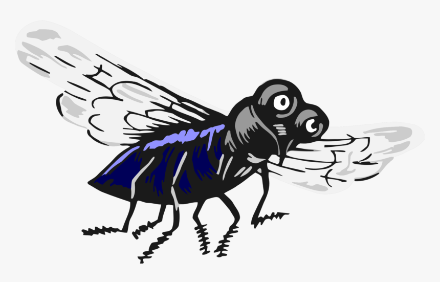Fly,carpenter Bee,cartoon, HD Png Download, Free Download