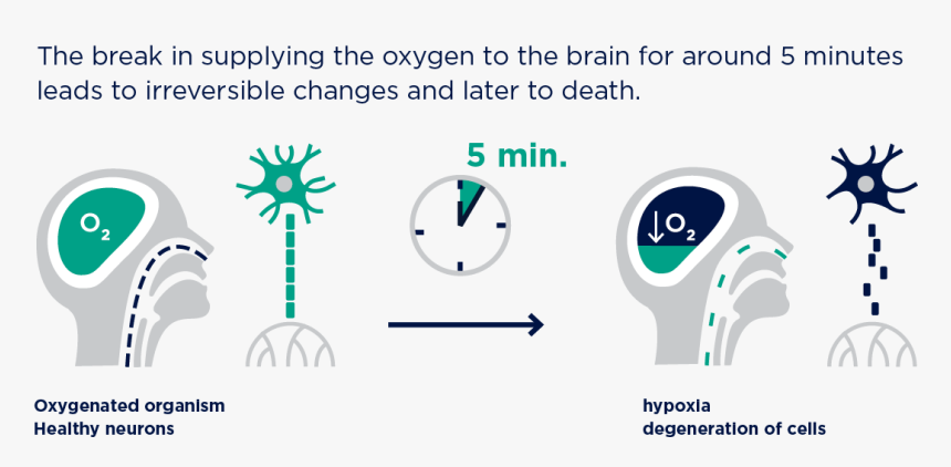 Transparent Oxygen Png - Neurons Need Oxygen, Png Download, Free Download