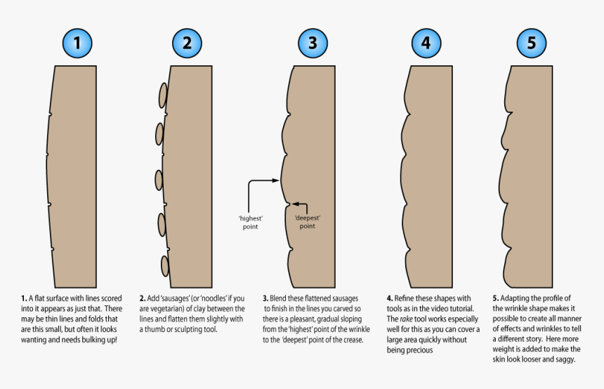 Illustration Showing A Cross Section Of Wrinkle Sculpting - Anatomy Of A Wrinkle, HD Png Download, Free Download