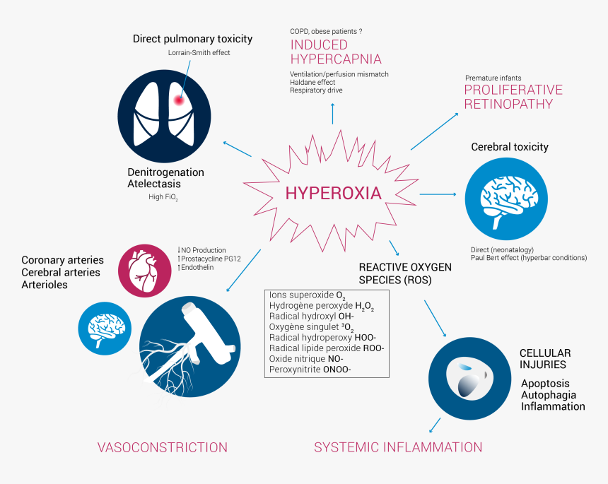 Automated Oxygen Therapy - Circle, HD Png Download, Free Download