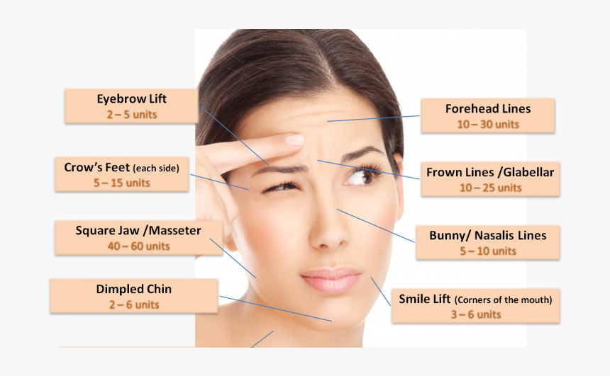 Should You Try Botox Injections For Wrinkles - Can I Get Botox On My Face, HD Png Download, Free Download