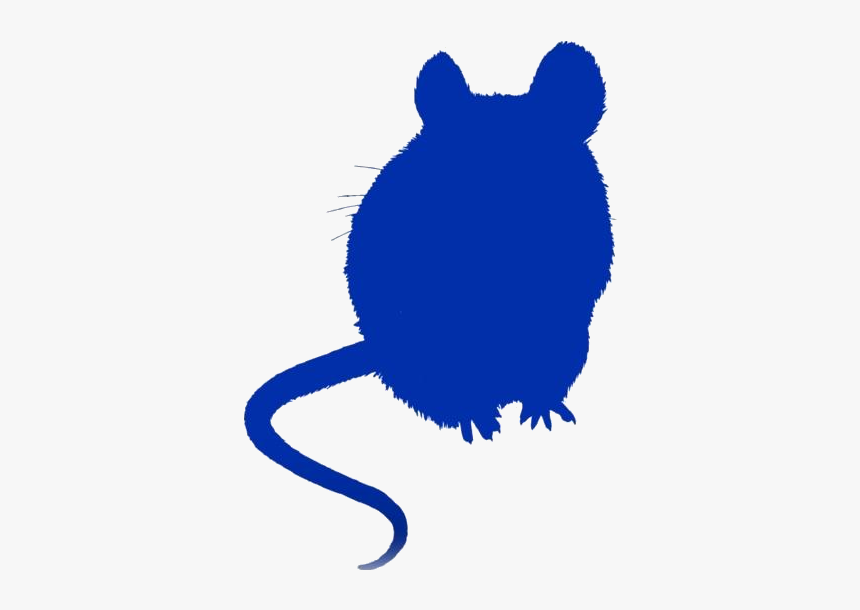 Transparent Background Cute Mice Png - Rat, Png Download, Free Download