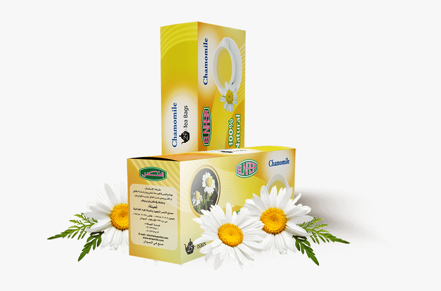 Chamomile Tea Bags - Chamomile, HD Png Download, Free Download