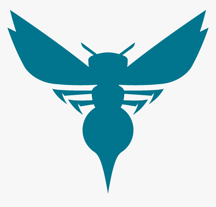 Transparent Charlotte Hornets Logo Png - Charlotte Hornets New Logo, Png Download, Free Download