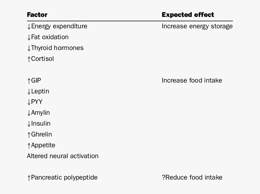 Hormone Changes During Dieting, HD Png Download, Free Download