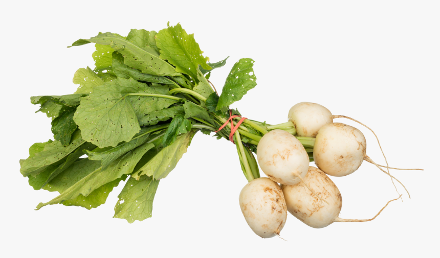 Turnips - Turnips Png, Transparent Png, Free Download