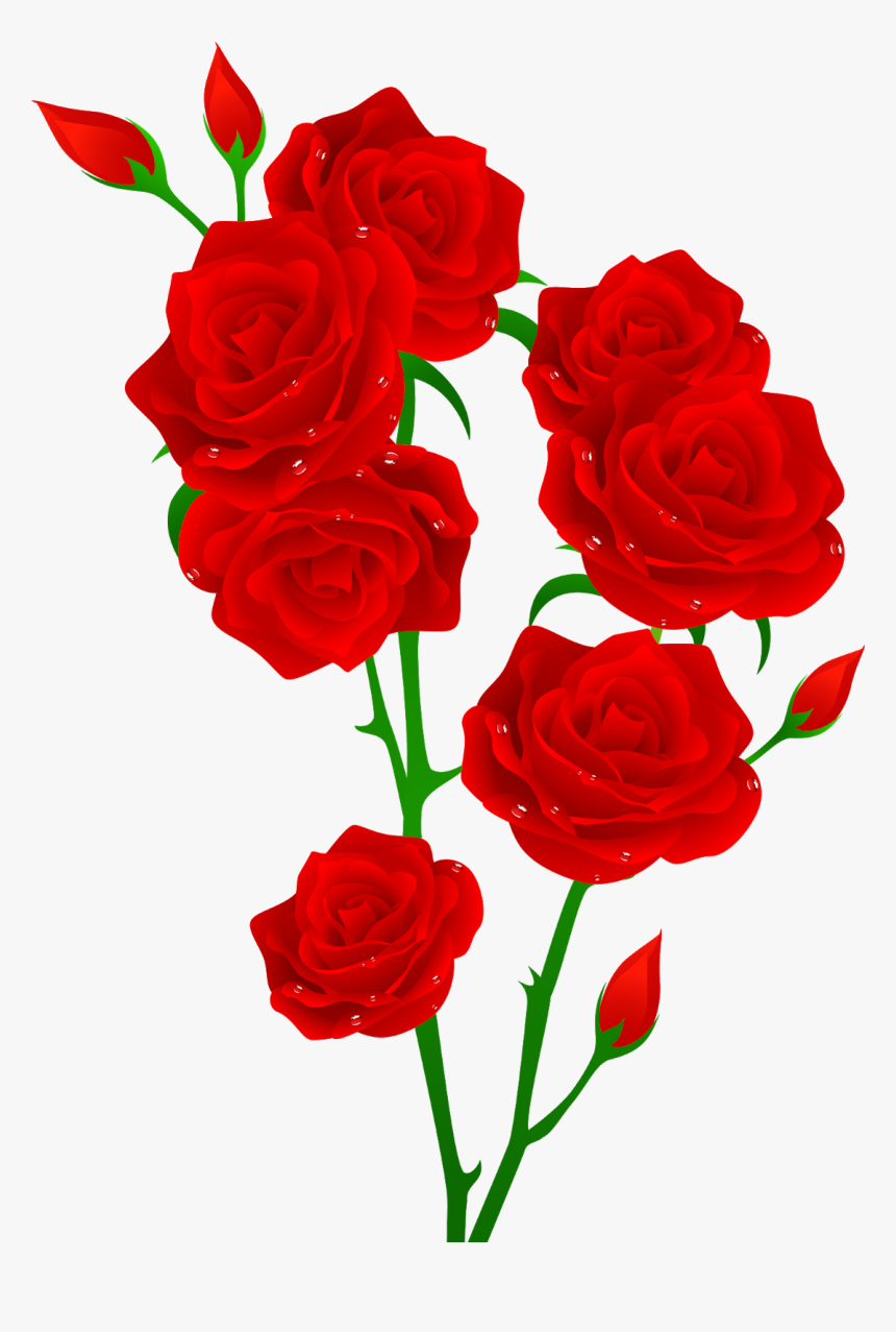 Flowers Red And Green, HD Png Download, Free Download